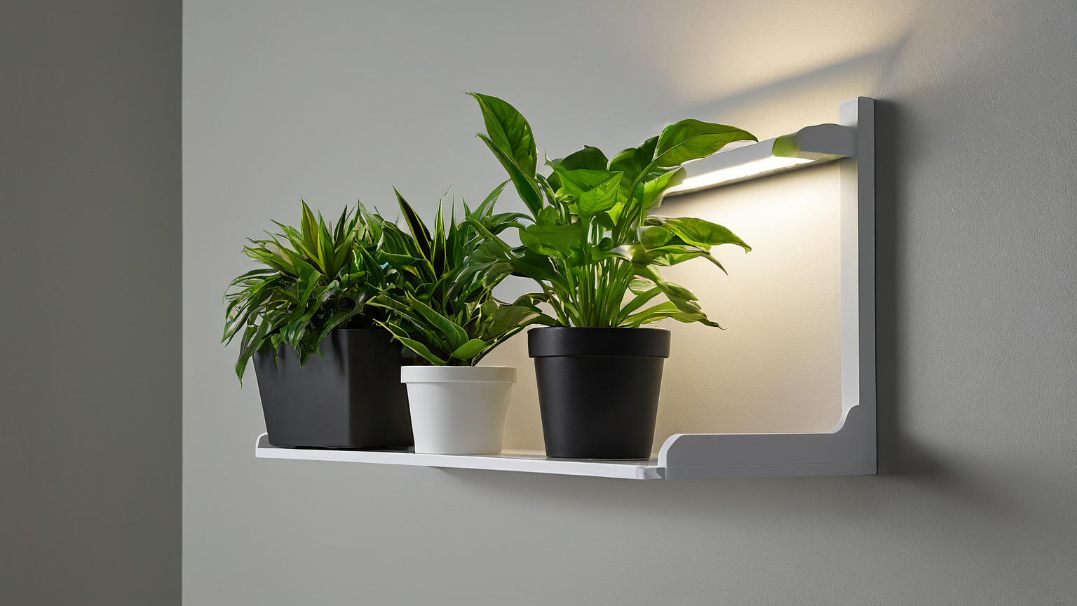 Renter Entryway Emergency Lighting: A Blackout-Ready Layout That Still Looks Calm